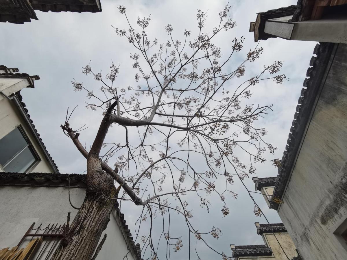 Xidi Kunlun International Hostel Yi (Anhui) المظهر الخارجي الصورة